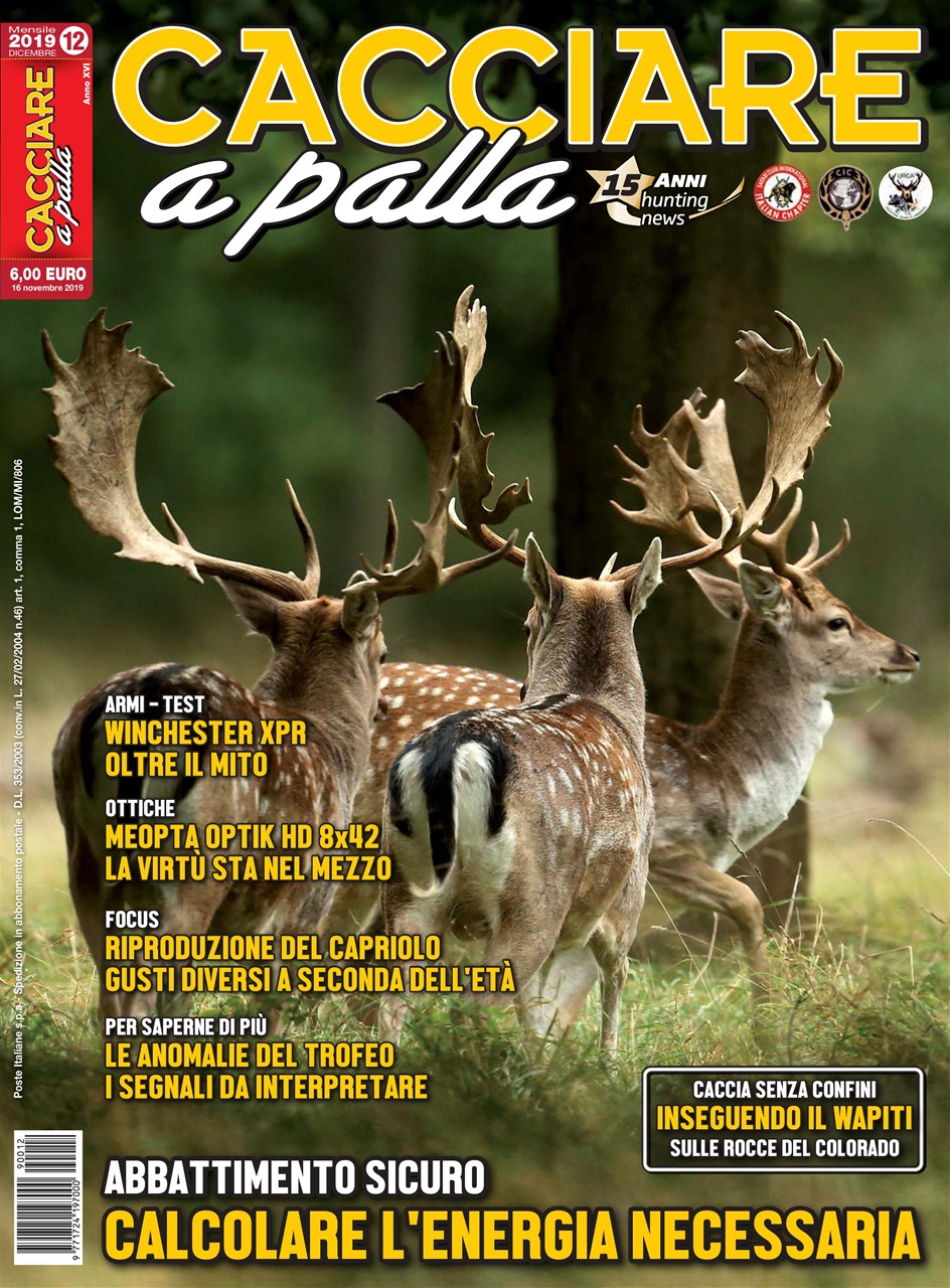 Caccia Magazine Preview Pages