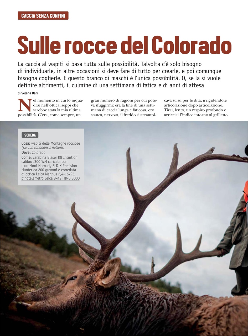 Caccia Magazine Preview Pages