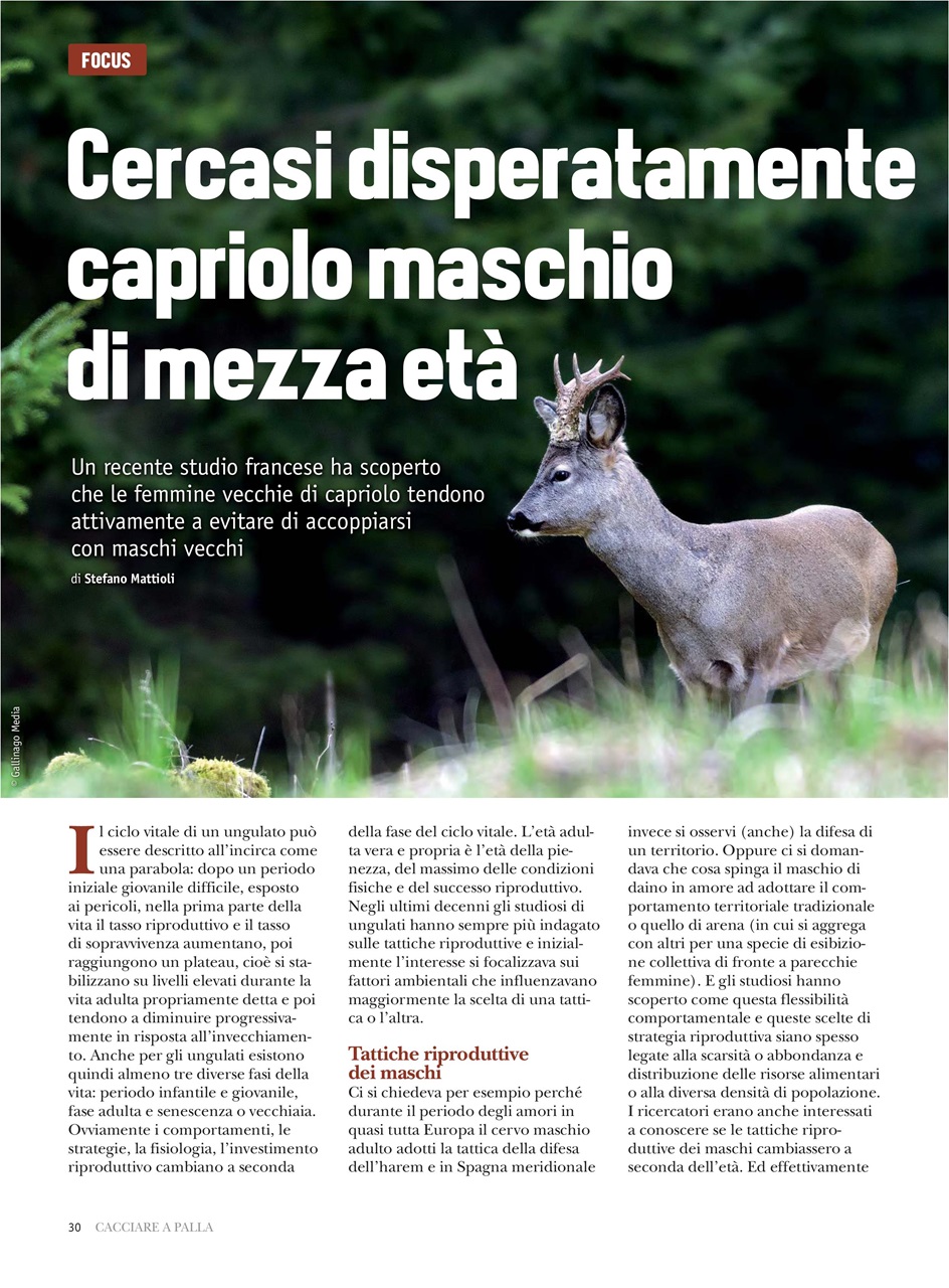 Caccia Magazine Preview Pages