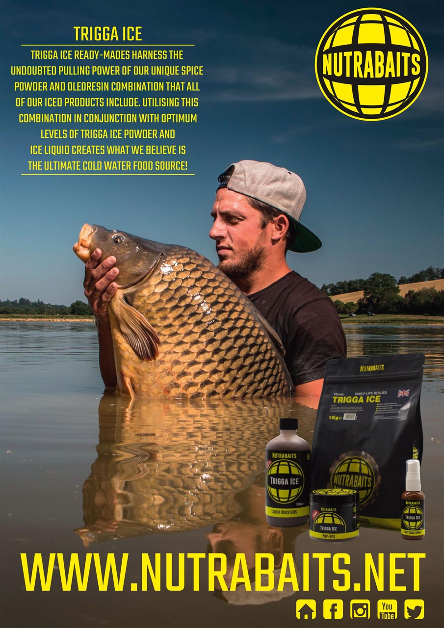 Carpworld Preview Pages