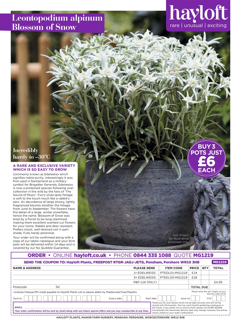 Modern Gardens Preview Pages