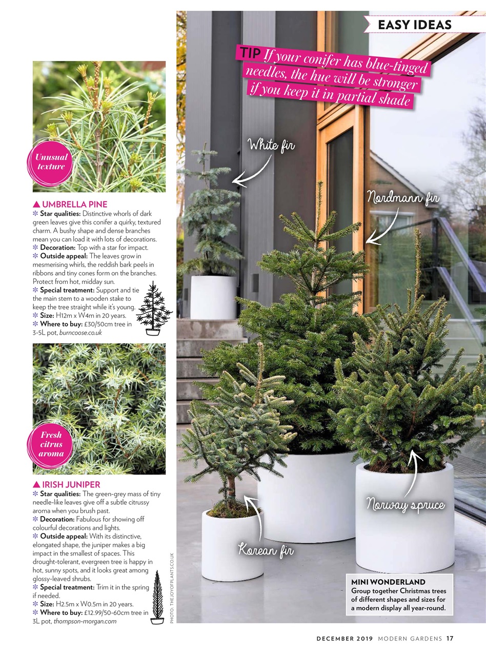 Modern Gardens Preview Pages