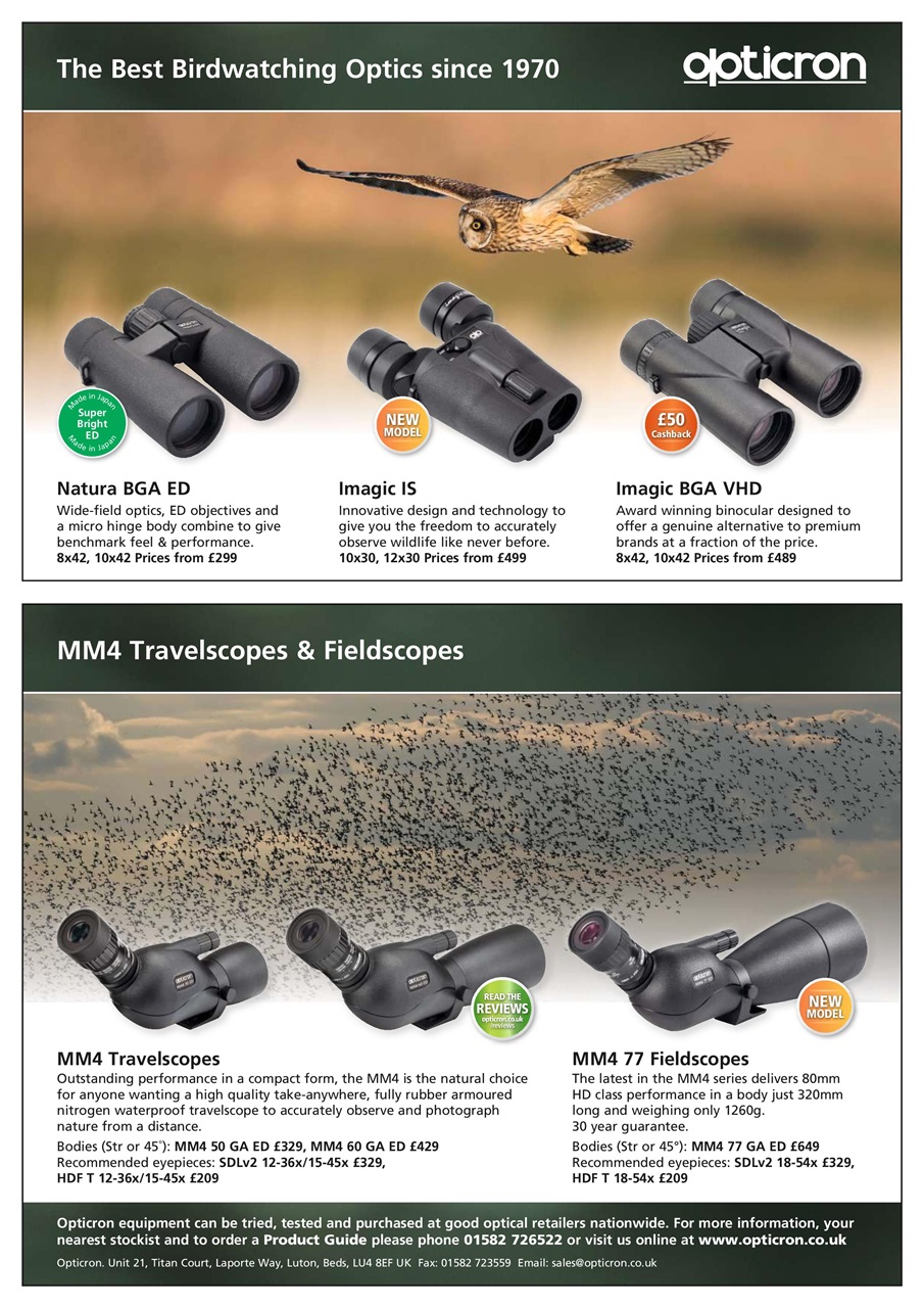 Bird Watching Preview Pages