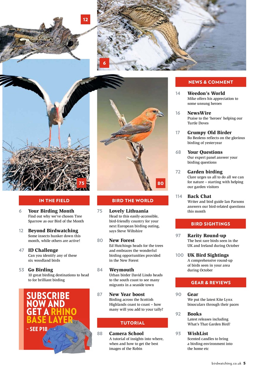Bird Watching Preview Pages