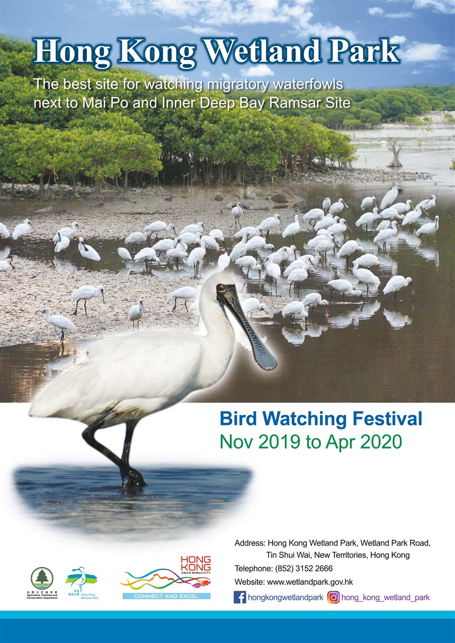 Bird Watching Preview Pages
