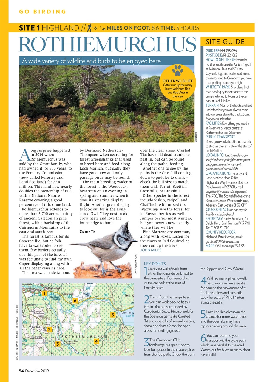 Bird Watching Preview Pages