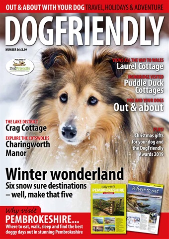 Dog Friendly issue Nov-Dec 2019