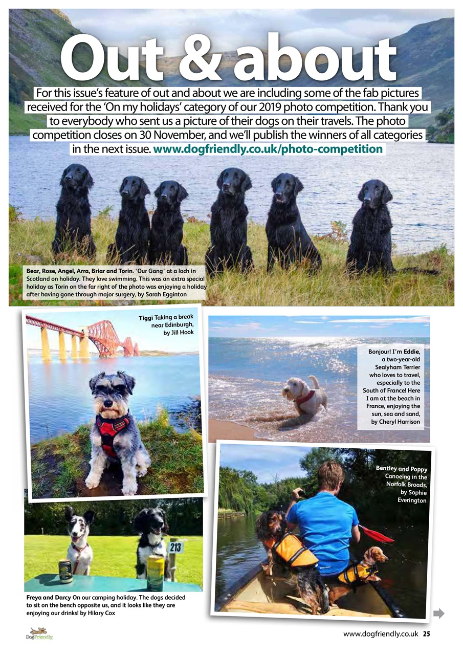 Dog Friendly Preview Pages