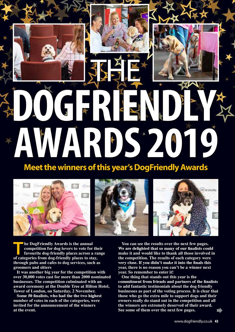 Dog Friendly Preview Pages
