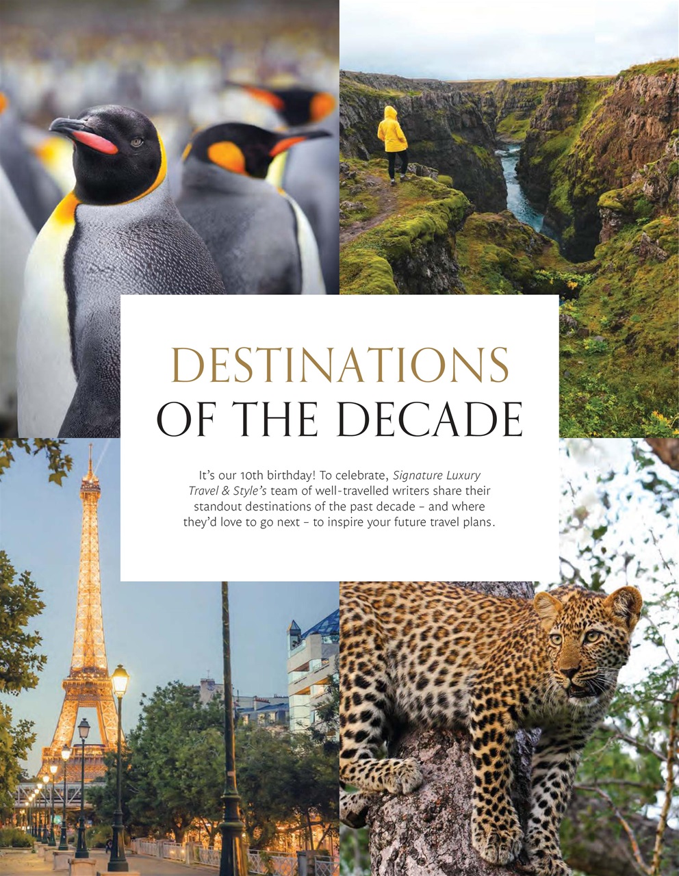 Signature Luxury Travel & Style Preview Pages