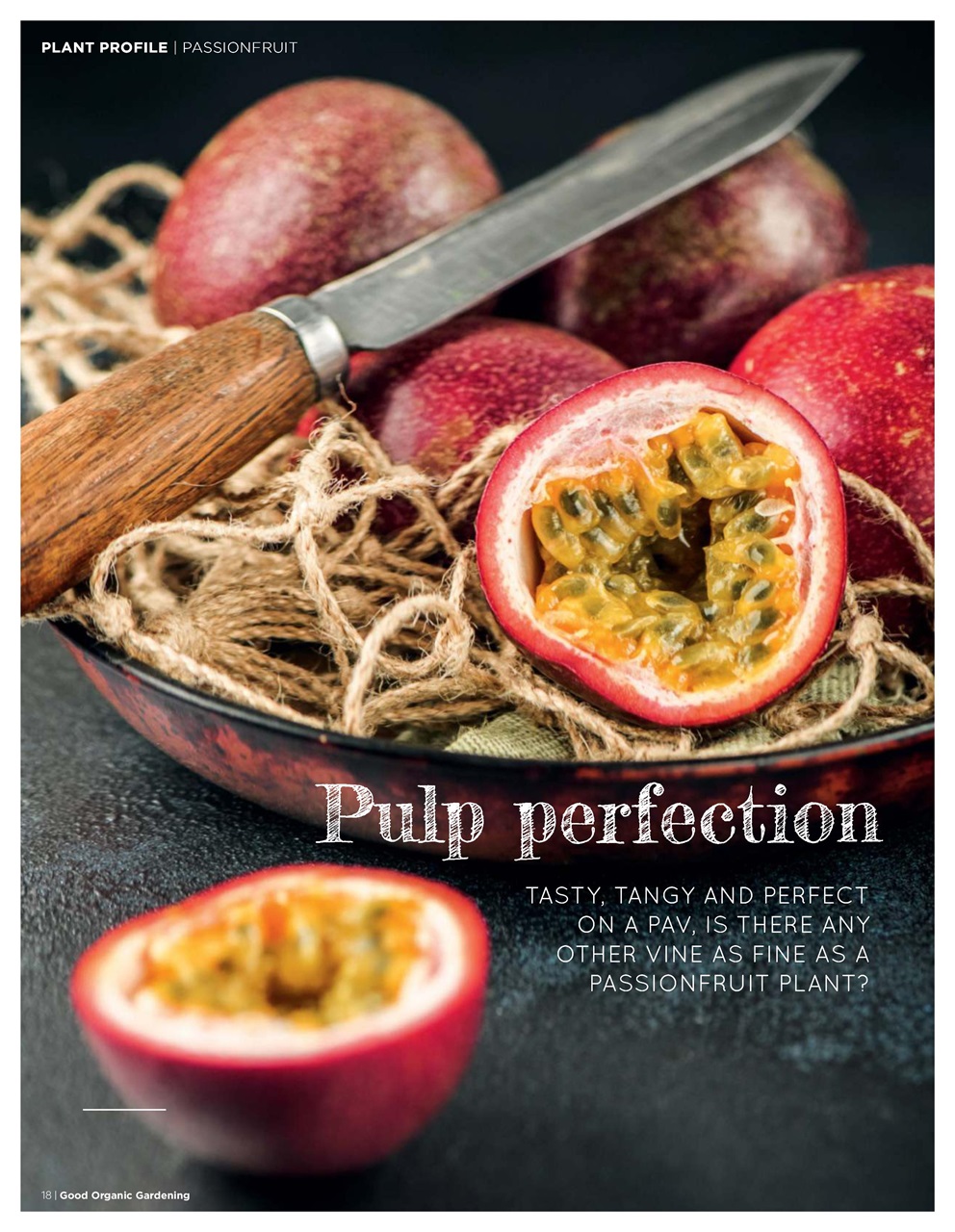 Good Organic Gardening Preview Pages