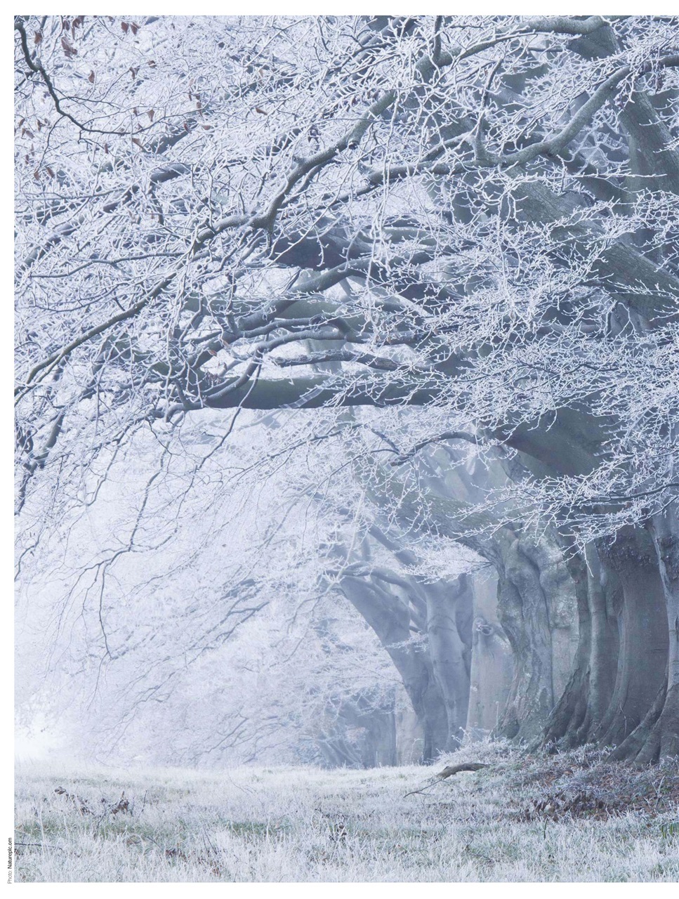 BBC Countryfile Magazine Preview Pages