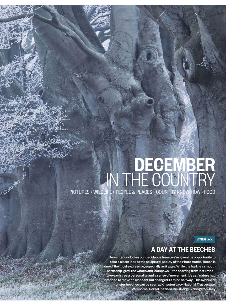BBC Countryfile Magazine Preview Pages