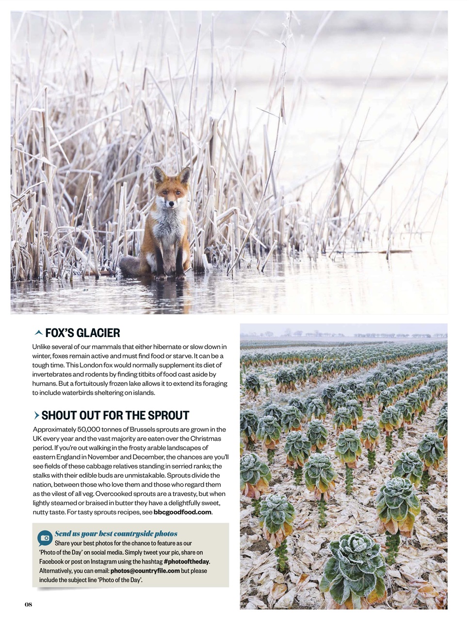BBC Countryfile Magazine Preview Pages