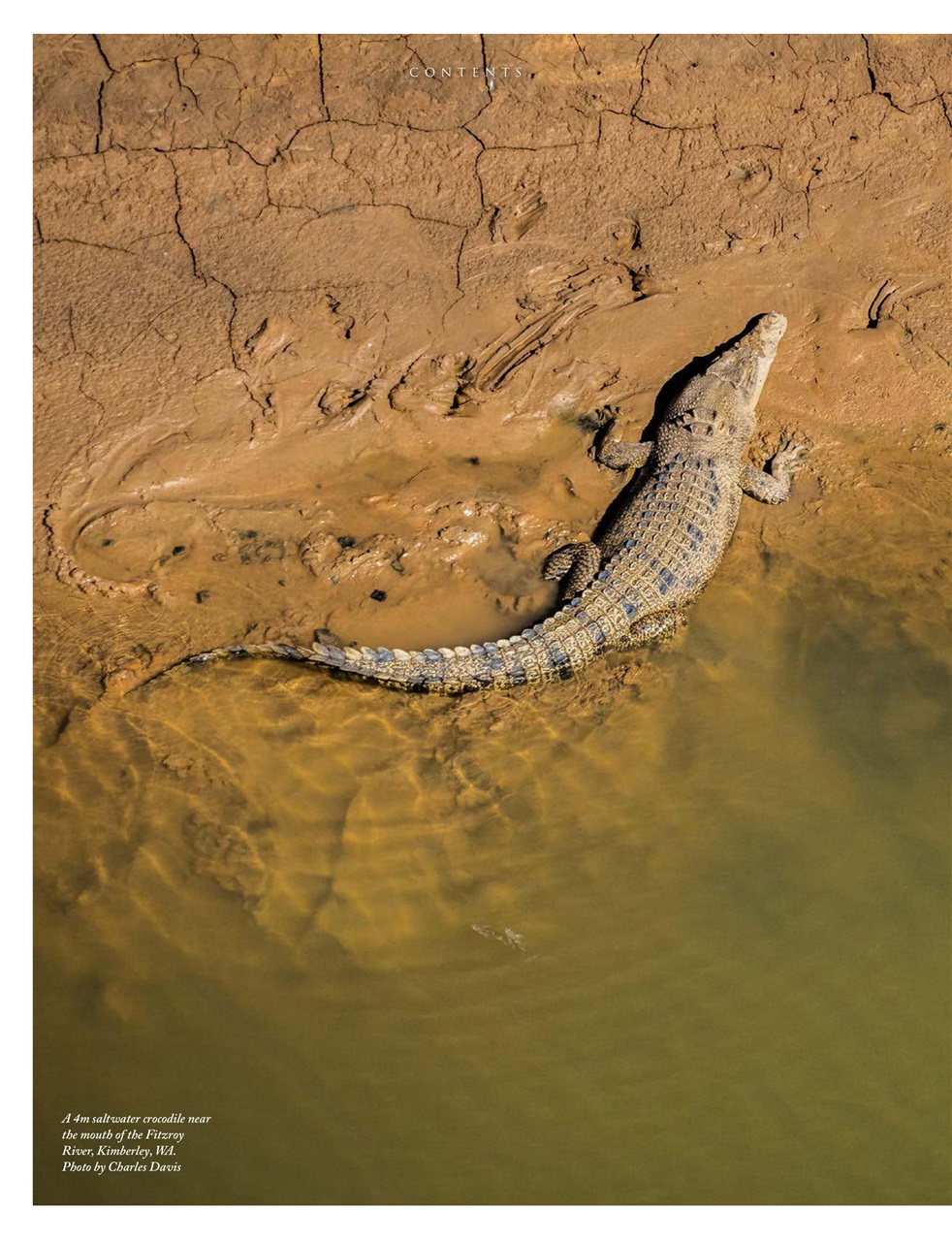 OUTBACK Magazine Preview Pages