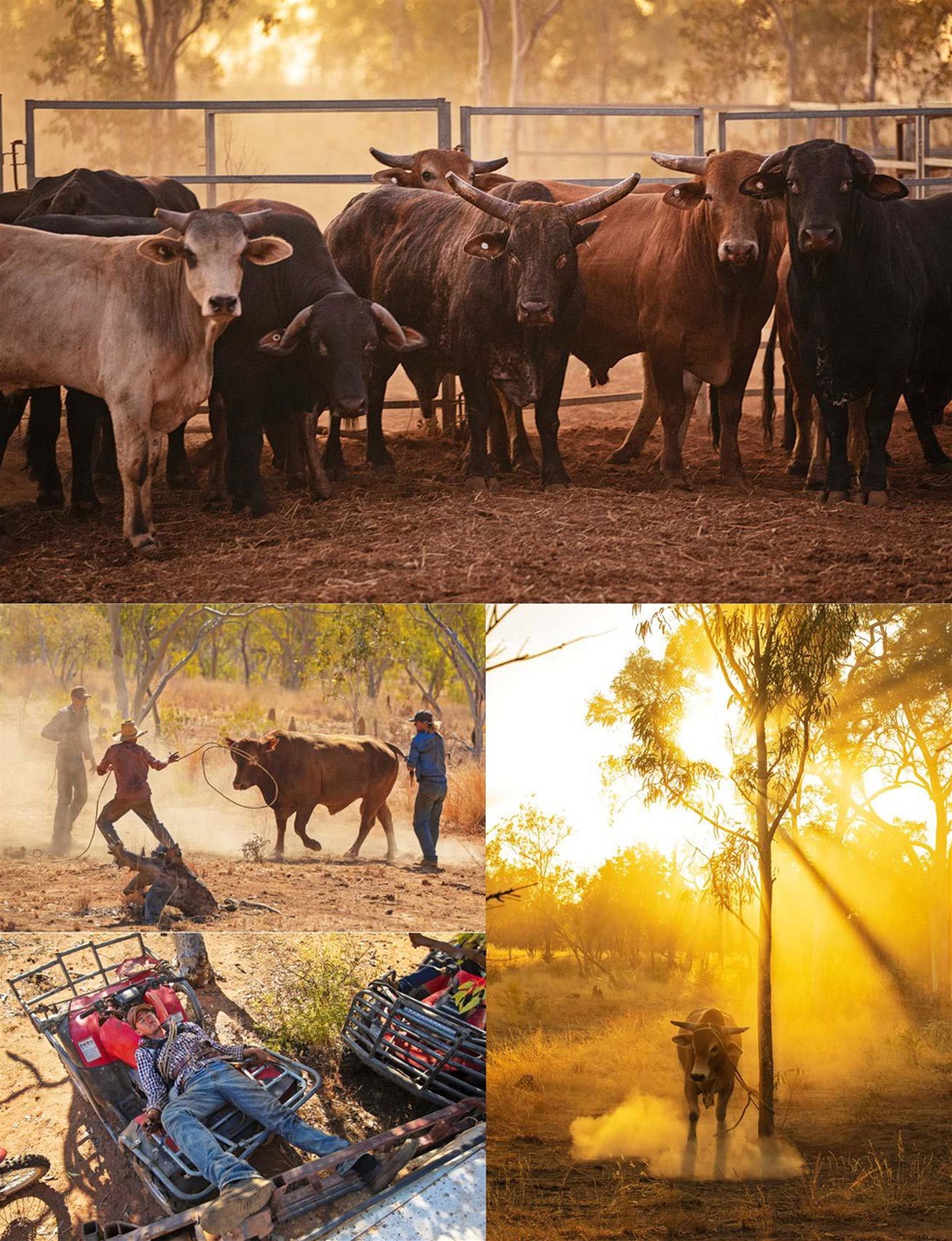 OUTBACK Magazine Preview Pages