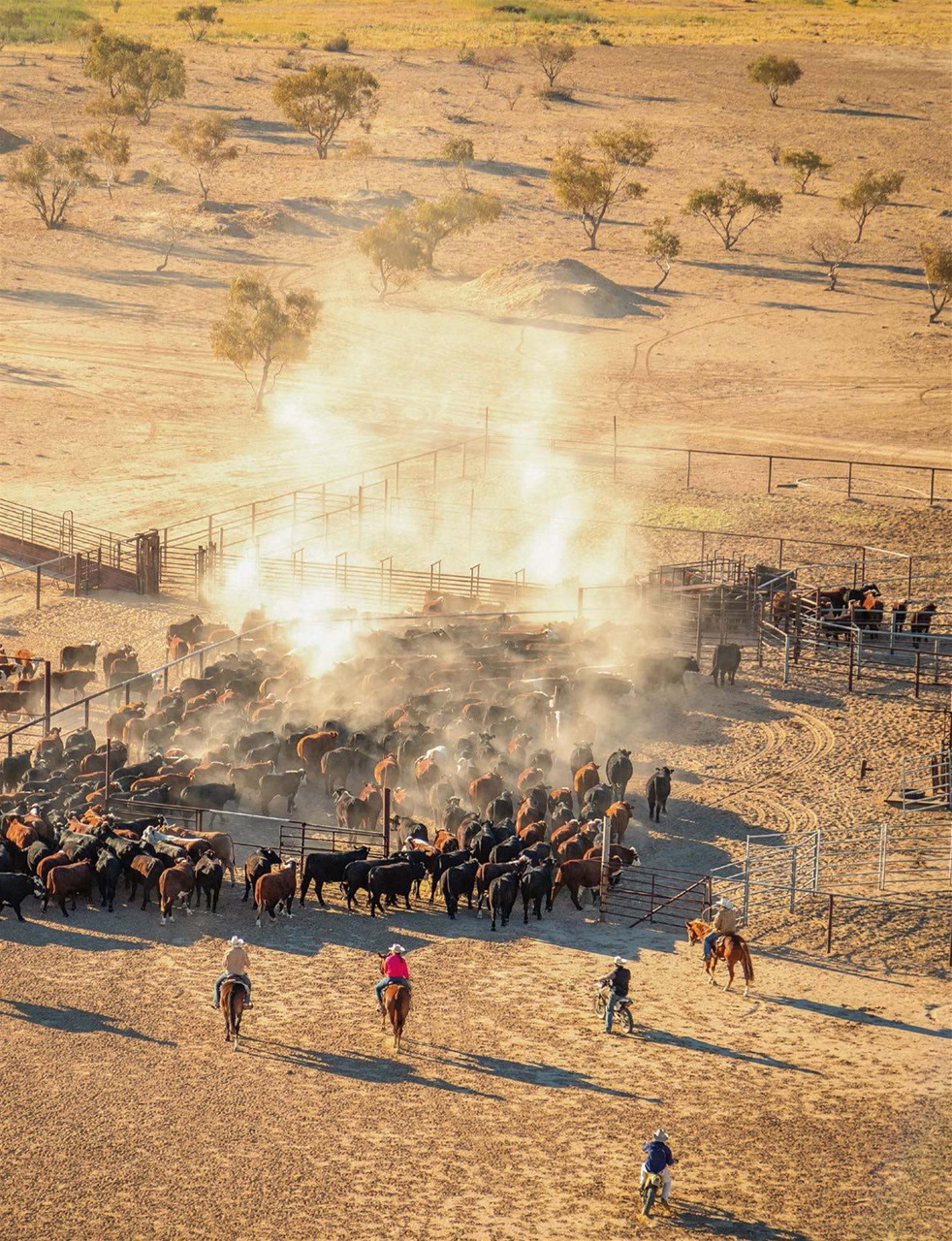 OUTBACK Magazine Preview Pages