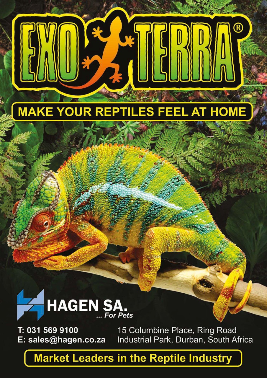 Ultimate Exotics Preview Pages