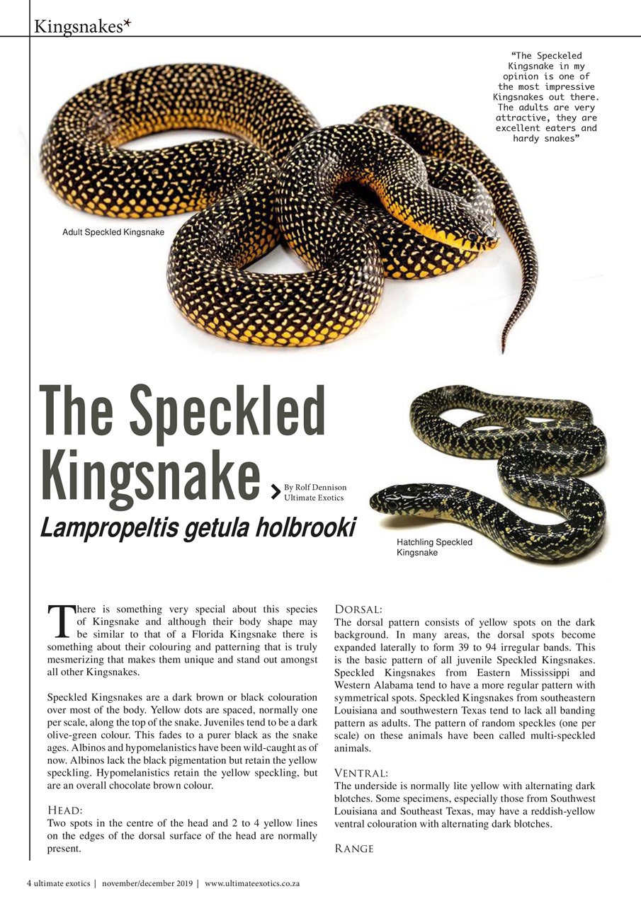 Ultimate Exotics Preview Pages