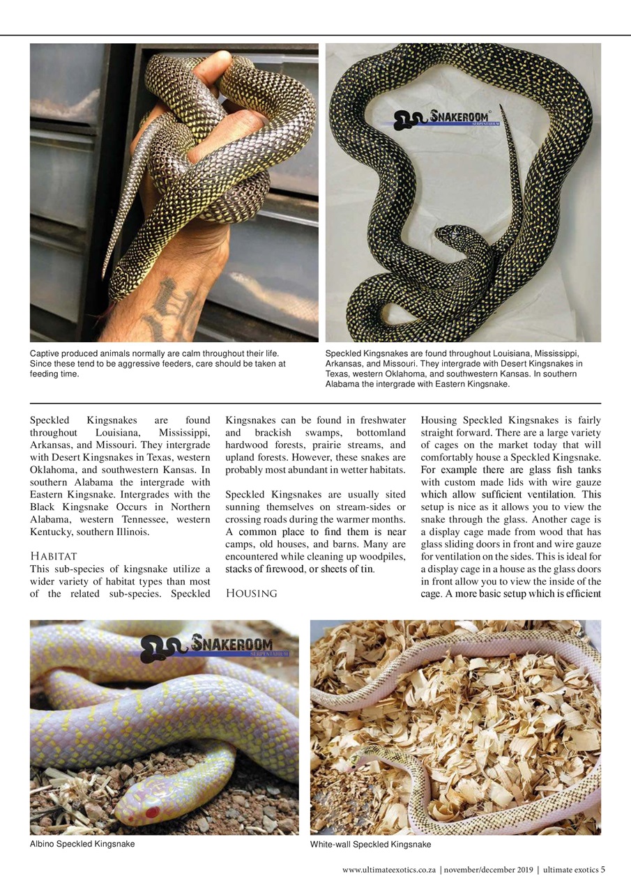 Ultimate Exotics Preview Pages