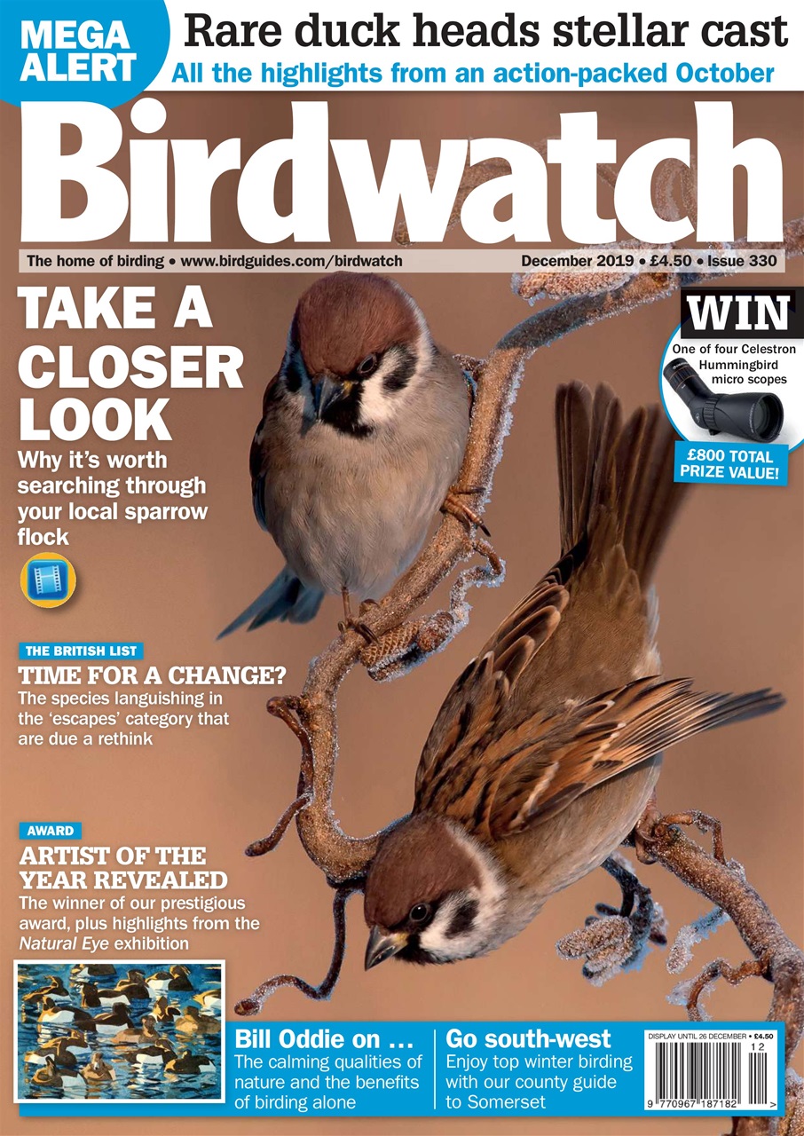 Birdwatch Magazine Preview Pages