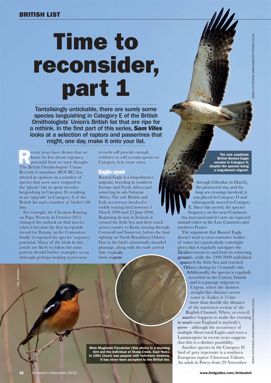 Birdwatch Magazine Preview Pages
