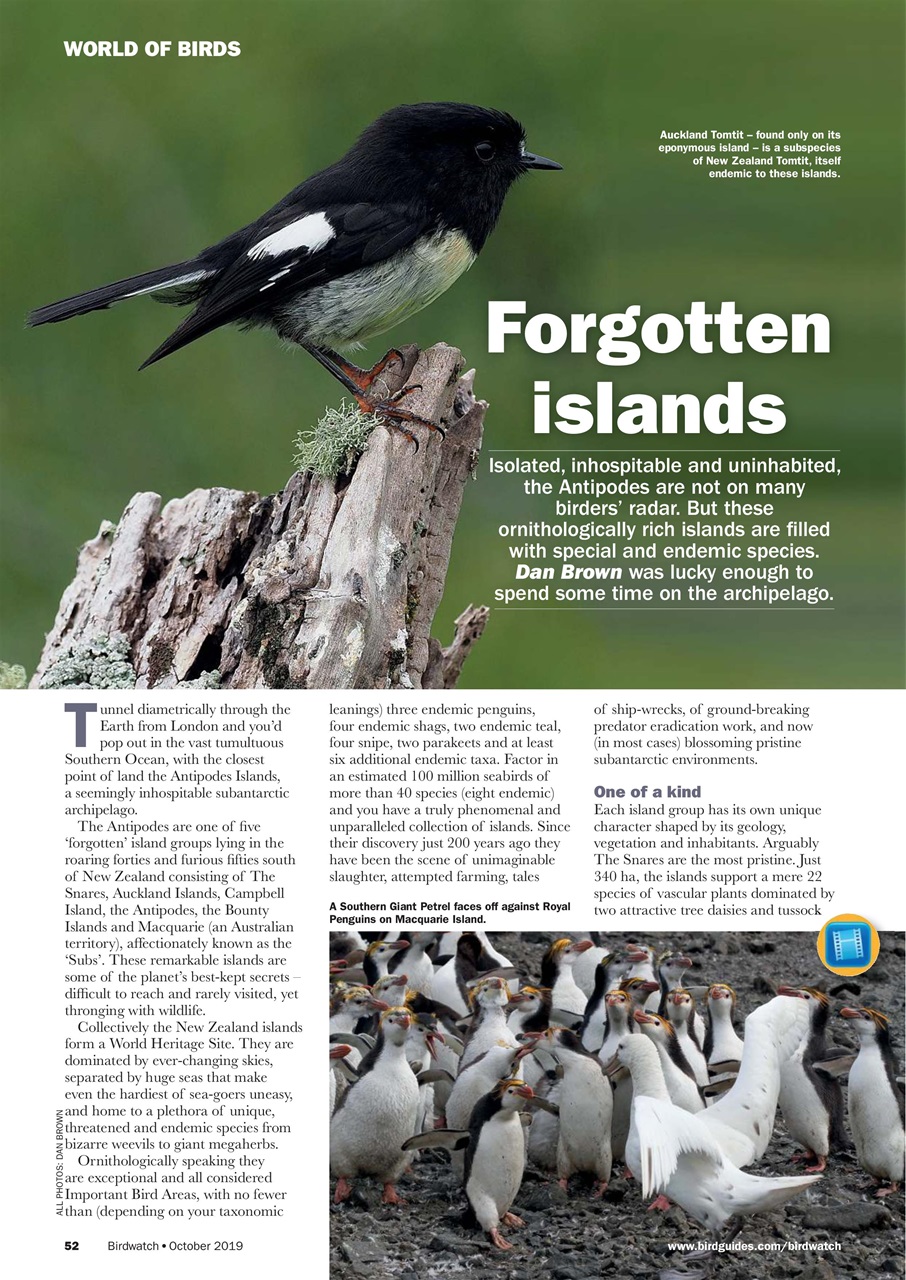 Birdwatch Magazine Preview Pages