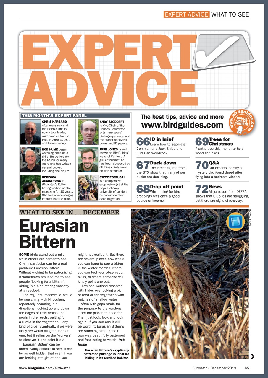 Birdwatch Magazine Preview Pages