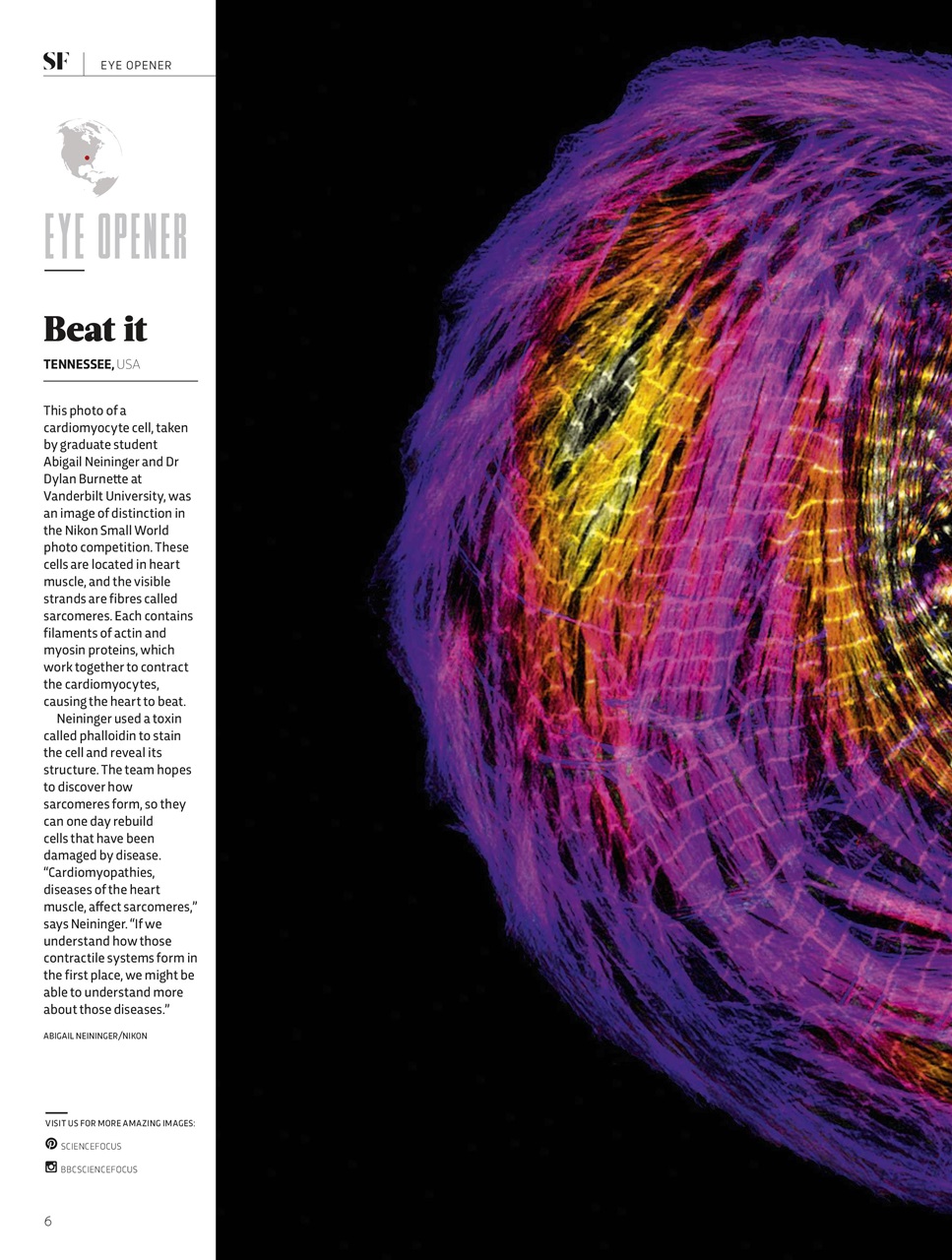 BBC Science Focus Magazine Preview Pages