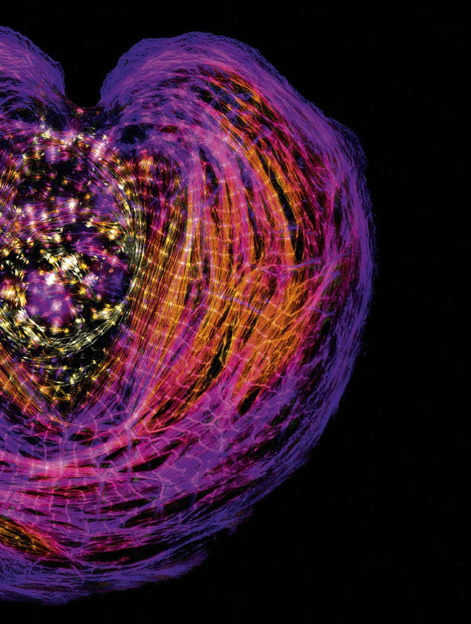 BBC Science Focus Magazine Preview Pages