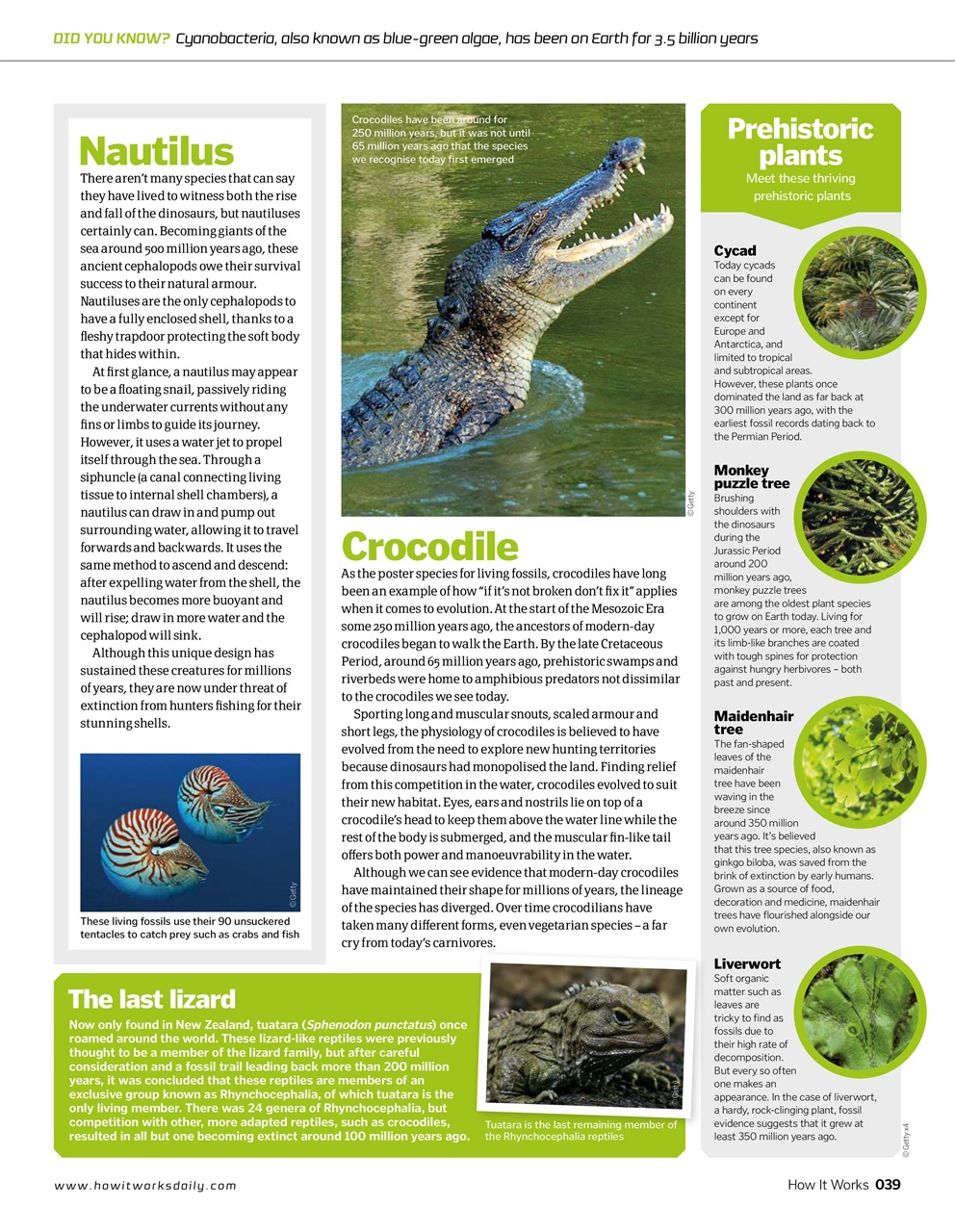 How It Works Preview Pages