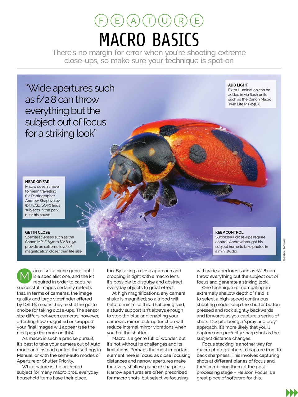 Photography Week Preview Pages