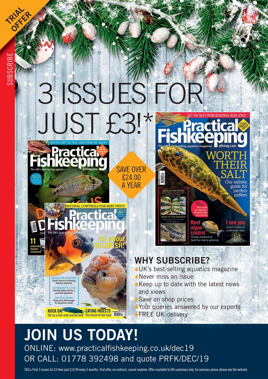 Practical Fishkeeping Preview Pages