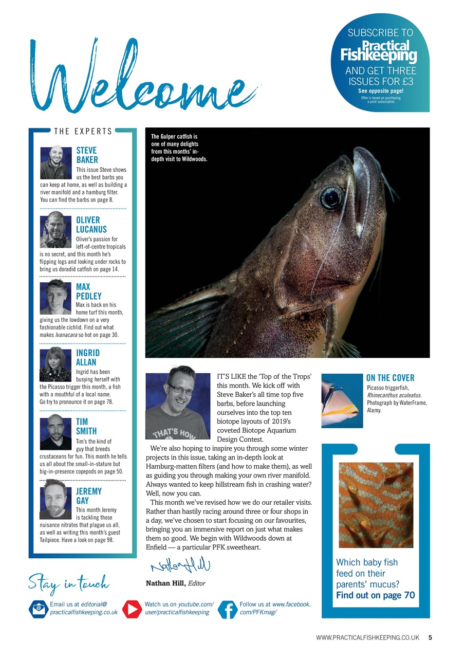 Practical Fishkeeping Preview Pages