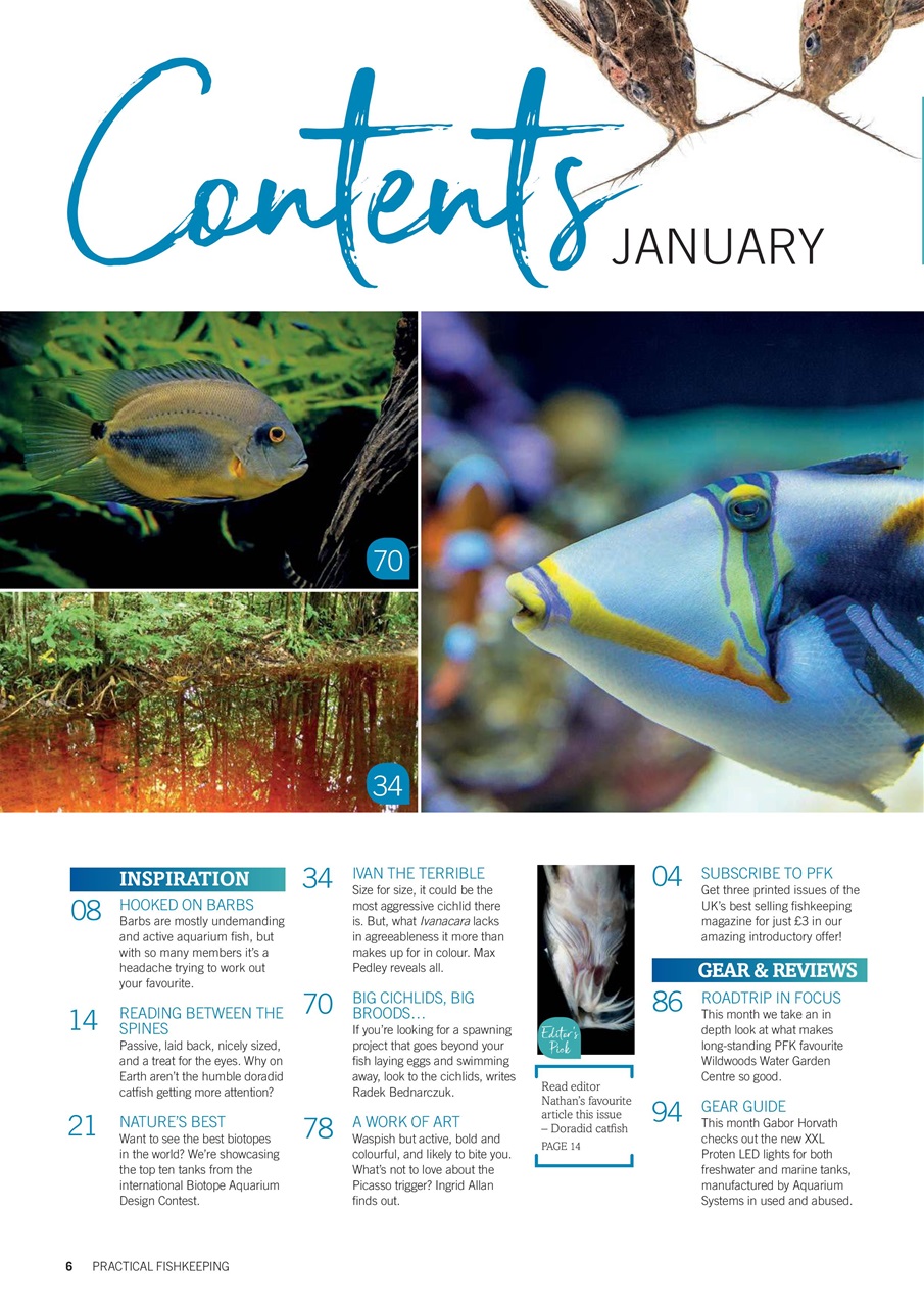 Practical Fishkeeping Preview Pages