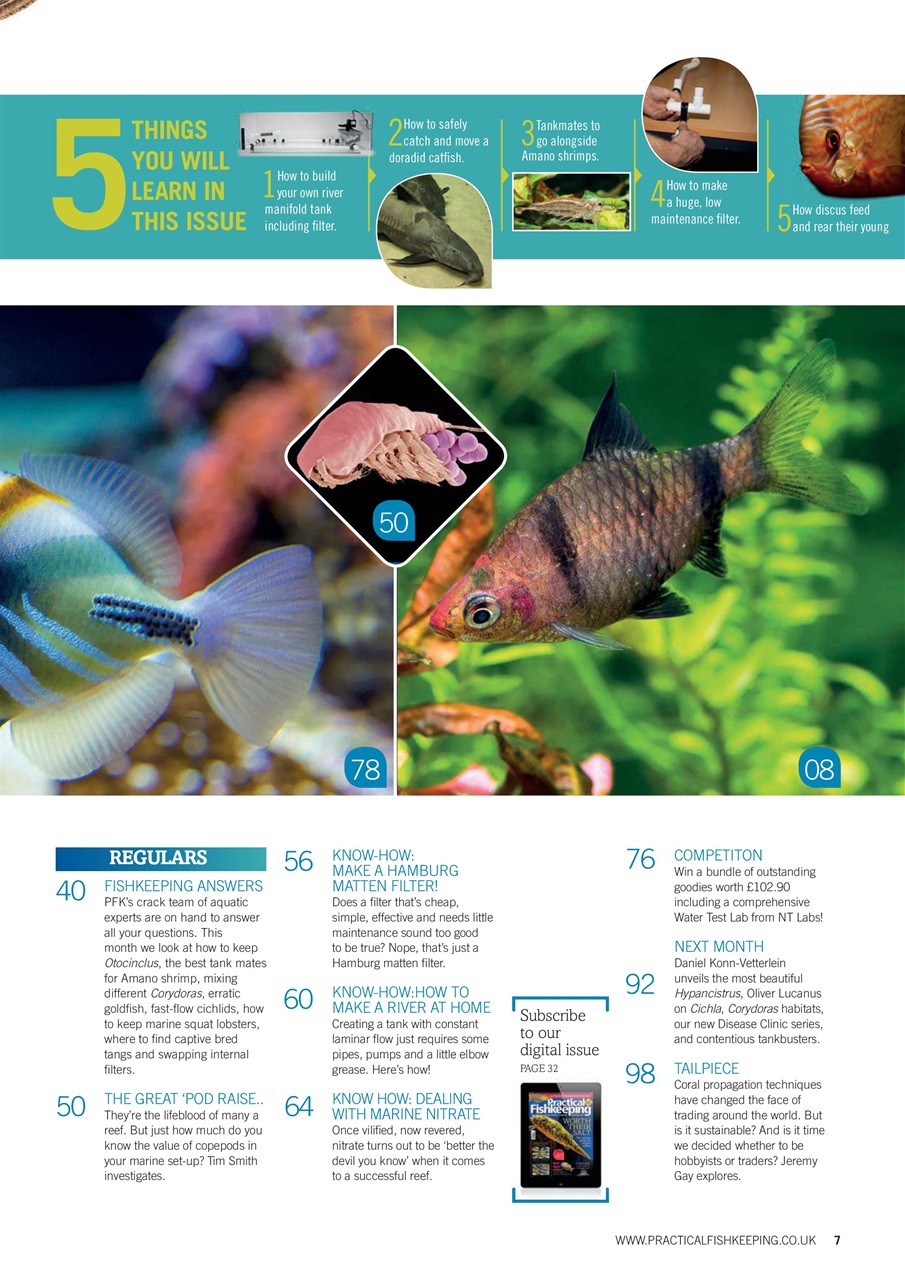 Practical Fishkeeping Preview Pages