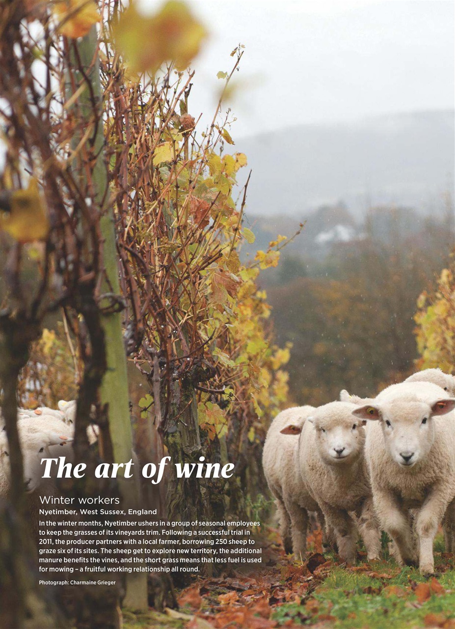 Decanter Preview Pages