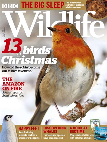 BBC Wildlife Magazine issue December 2019