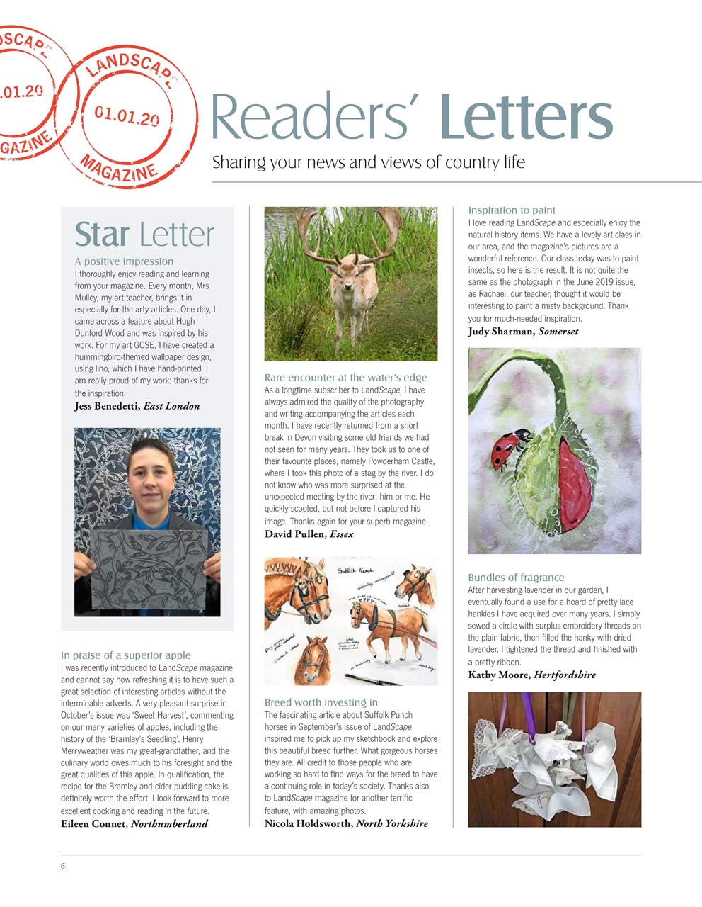 LandScape Preview Pages