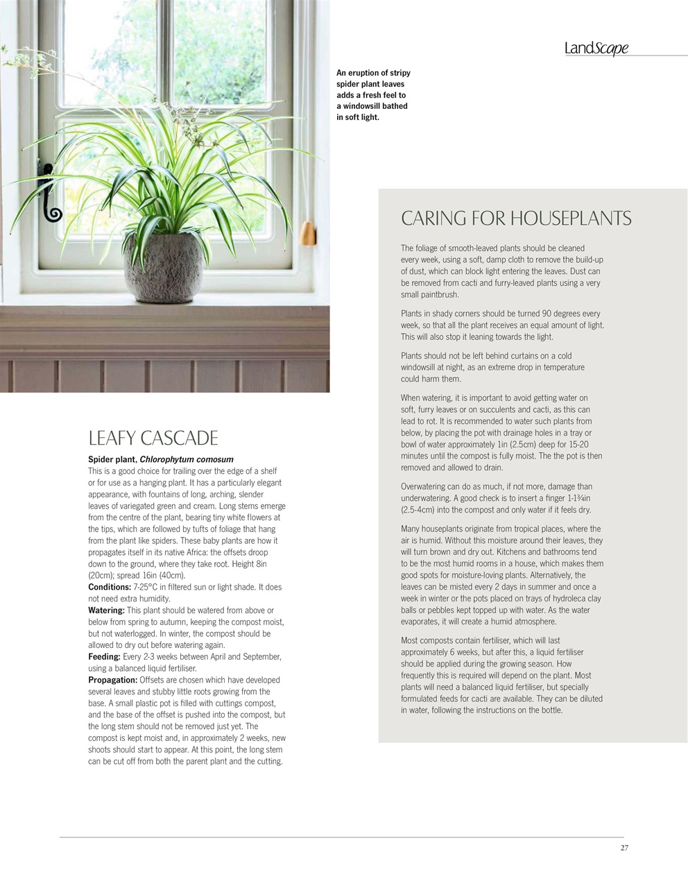 LandScape Preview Pages