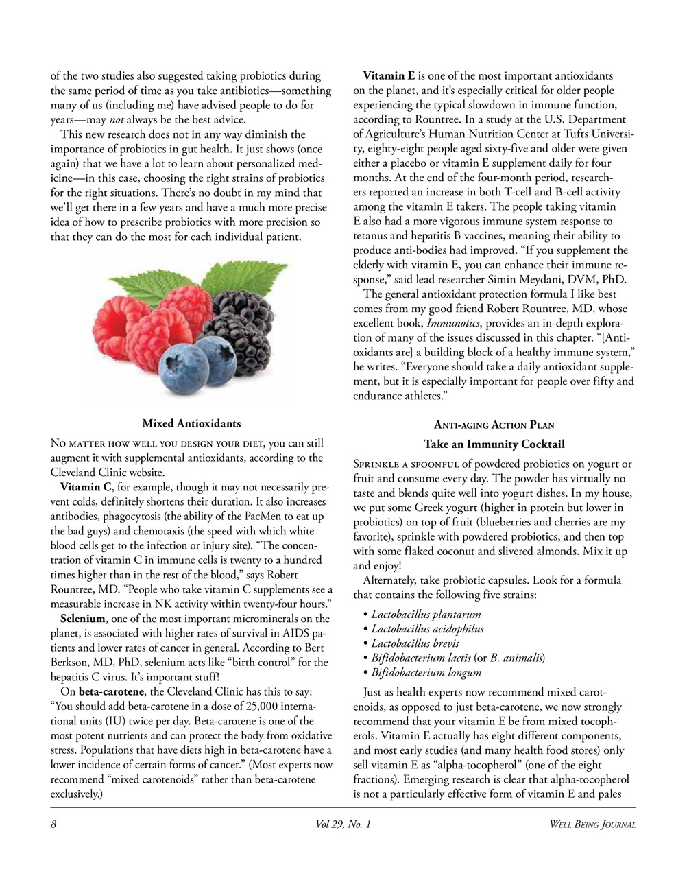 Well Being Journal Preview Pages