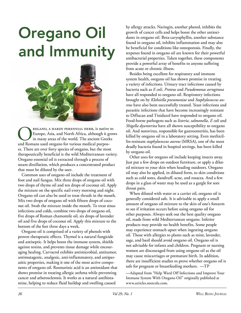 Well Being Journal Preview Pages