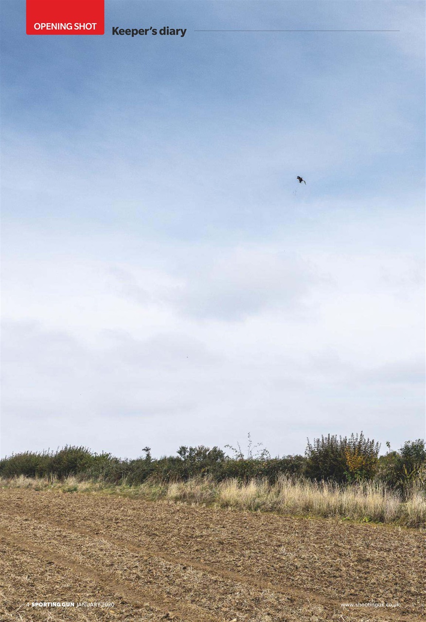 Sporting Gun Preview Pages