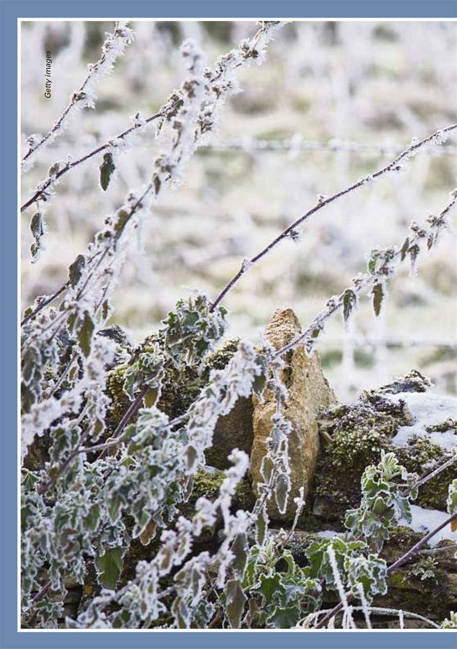 Evergreen Preview Pages