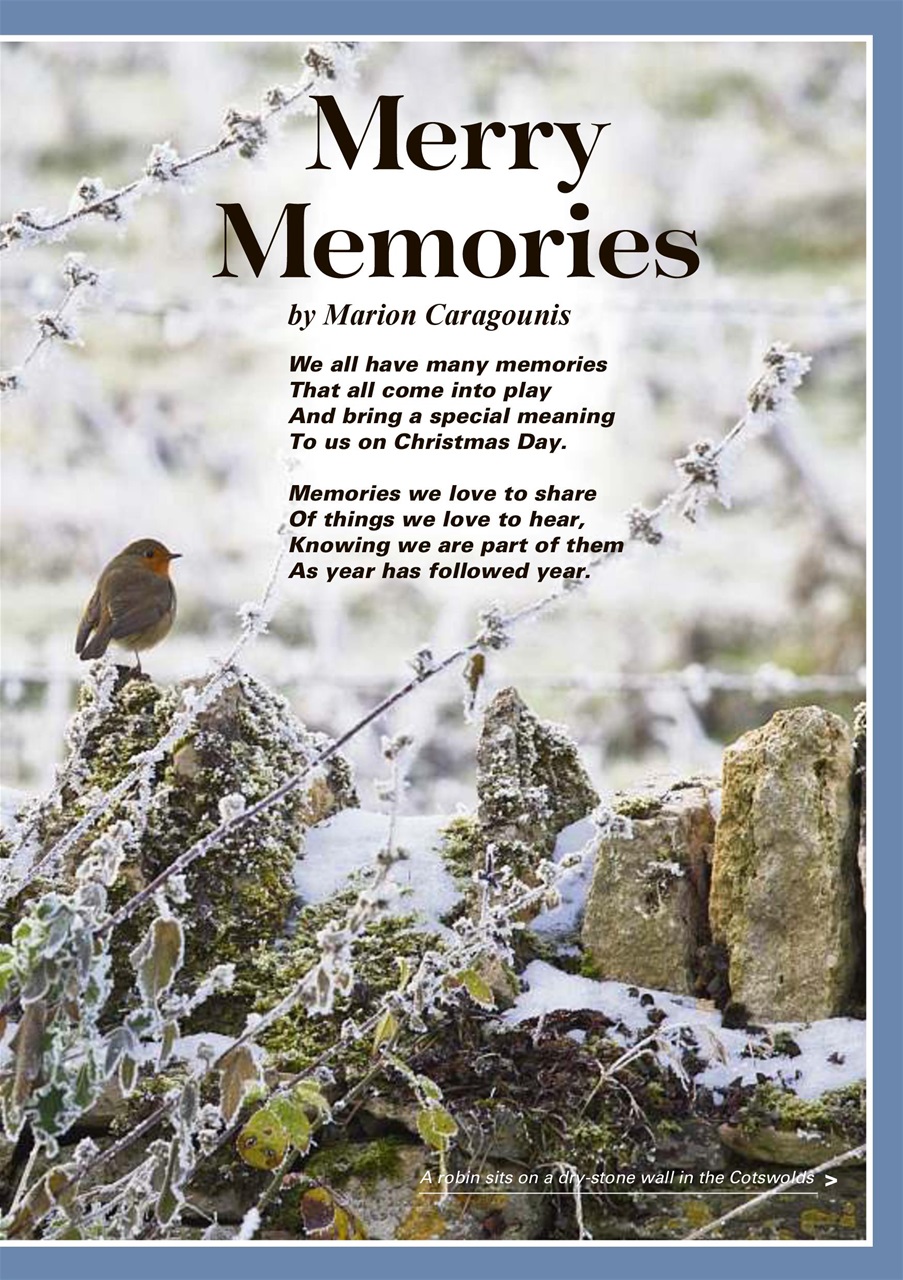 Evergreen Preview Pages