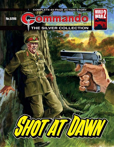 Commando issue 