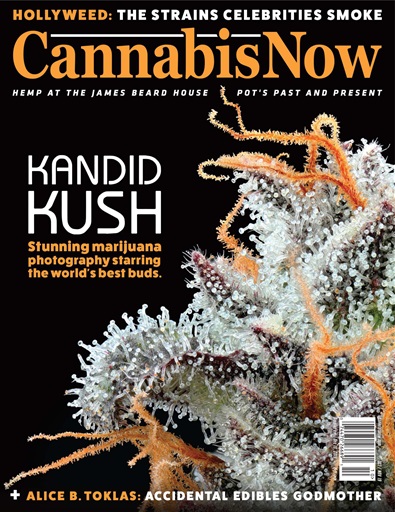 Cannabis Now issue 