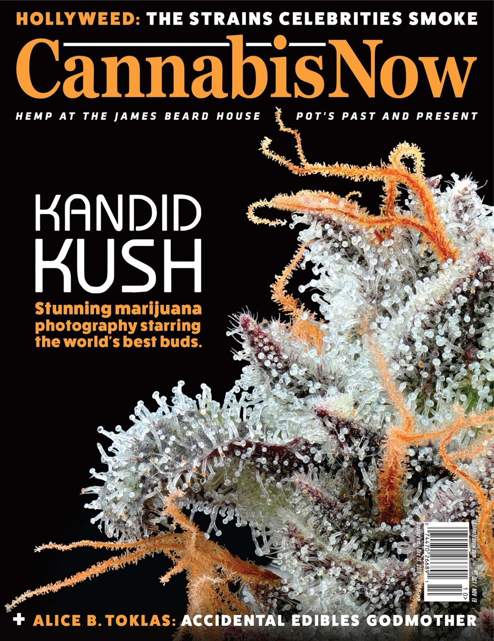 Cannabis Now Preview Pages