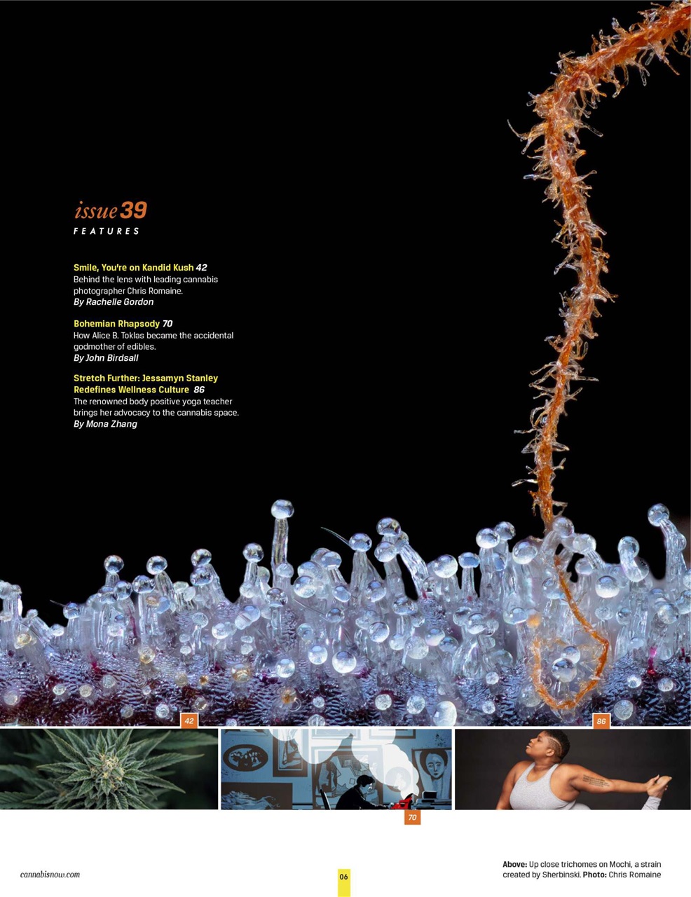 Cannabis Now Preview Pages