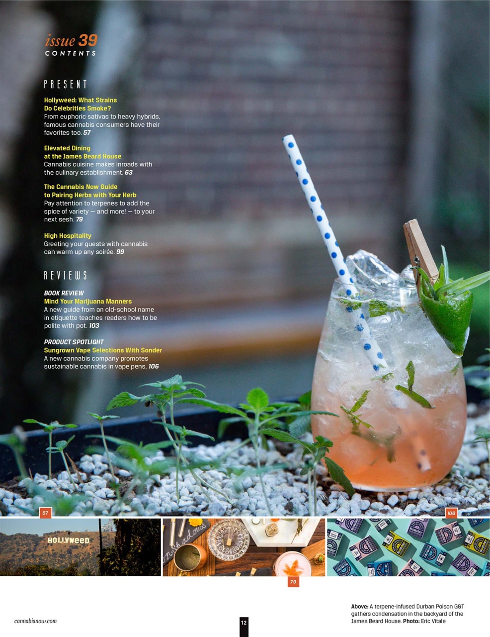 Cannabis Now Preview Pages